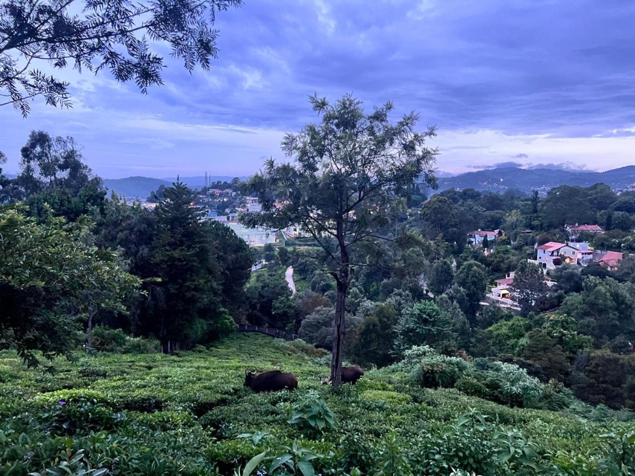 Sunset Villa Coonoor Bagian luar foto